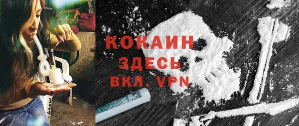 молекула духа Балахна