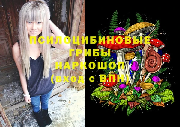 молекула духа Балахна