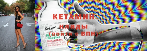 гидра Елизово
