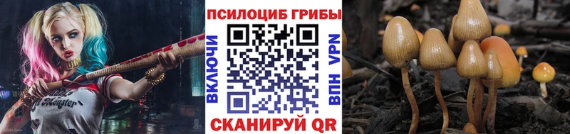 Галлюциногенные грибы мицелий  Лебедянь 