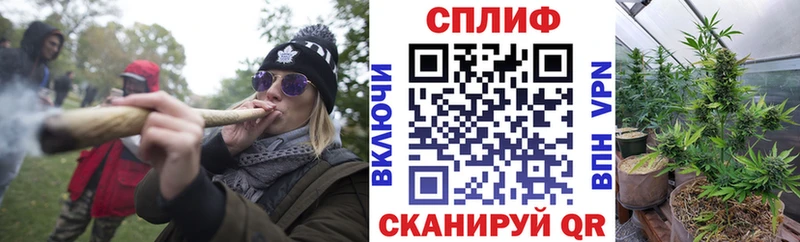 Конопля план  купить закладку  Лебедянь 